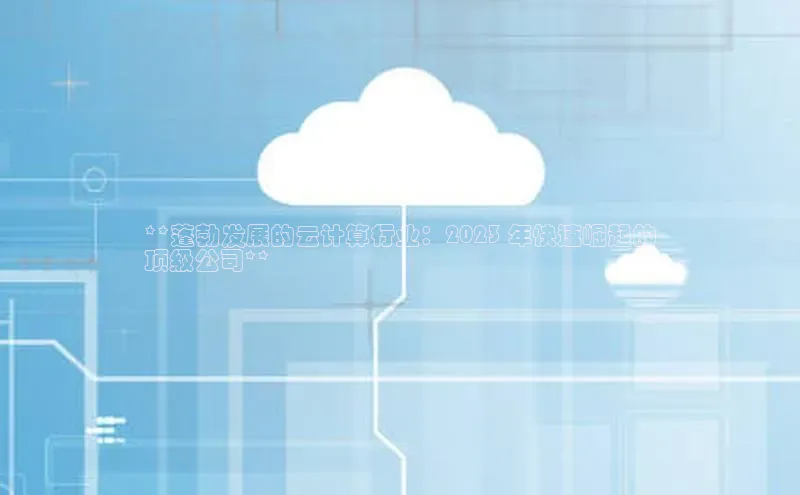 杏鑫注册登录地址华扬联众**蓬勃发展的云计算行业：2023 年快速崛起的
顶级公司**