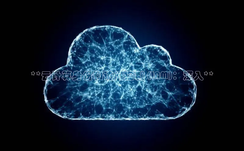 杏鑫是正规彩票平台吗小红书**云计算身份和访问控制 (IAM)：深入**