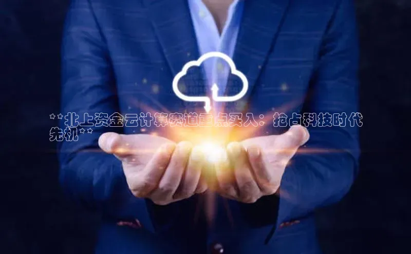 杏鑫彩票app官方下载百度数据开放平台**北上资金云计算赛道重点买入：抢占科技时代
先机**