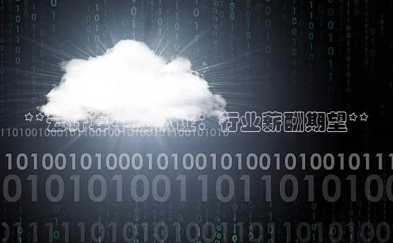 杏鑫平台注册登录百度 H5**云计算中级认证：行业薪酬期望**