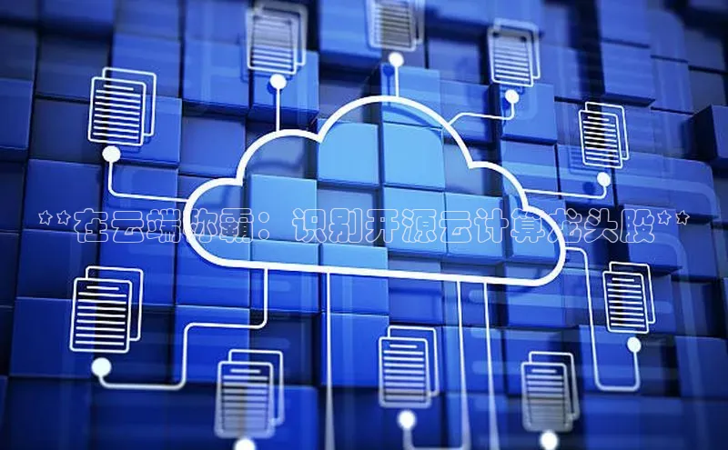 杏鑫平台开户百家号**在云端称霸：识别开源云计算龙头股**