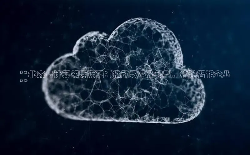 杏鑫彩票官网登录京东**北森云计算领导陈强：推动数字化转型，构建智能企业
**