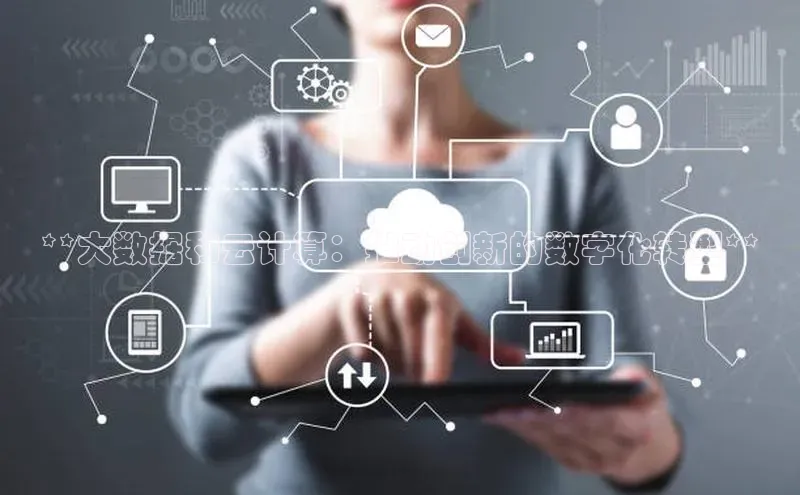 杏鑫彩票官网登录观星盘**大数据和云计算：推动创新的数字化转型**