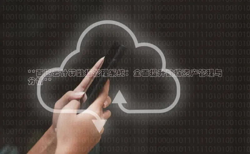 杏鑫平台代理百度营销中心**百迅云计算数据管理系统：全面提升数据资产管理与
分析**