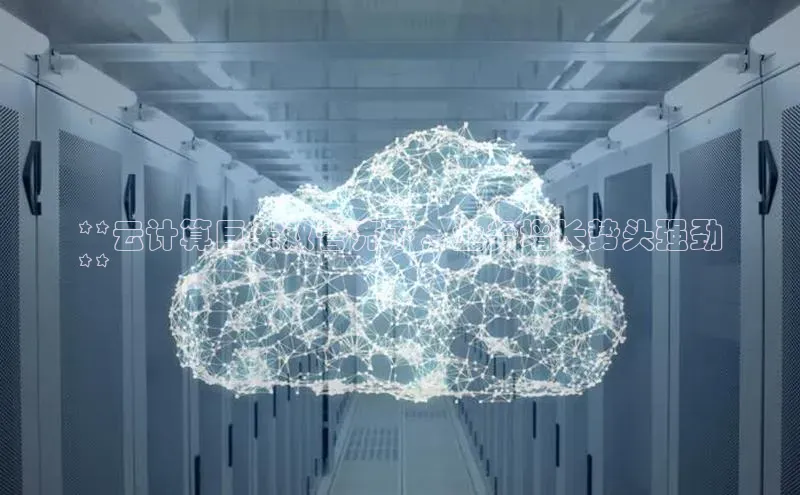 杏鑫登录测速诸葛科技**云计算巨头双管齐下，业务增长势头强劲
**