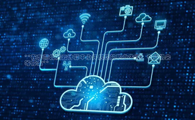 杏鑫注册地址百度智能门户**在东营北辰云计算中心开启您的职业生涯：专业机会
等你来**