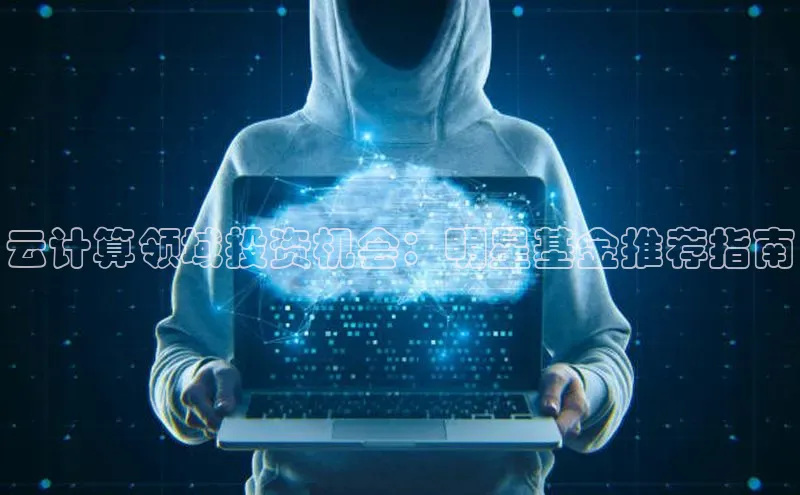 杏鑫注册地址汉得信息云计算领域投资机会：明星基金推荐指南