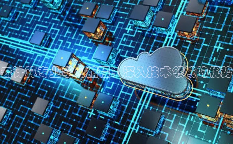 杏鑫注册平台官方网站ARGA公司云计算专业学习编程：深入技术领域的优势