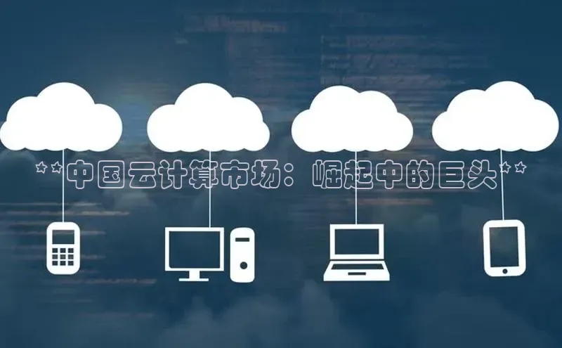 杏鑫彩票官网登录京东**中国云计算市场：崛起中的巨头**