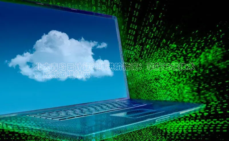 杏鑫平台注册官网阿里尔公司北大青鸟云计算运维进阶指南：掌握云端技术
，成就运维精英