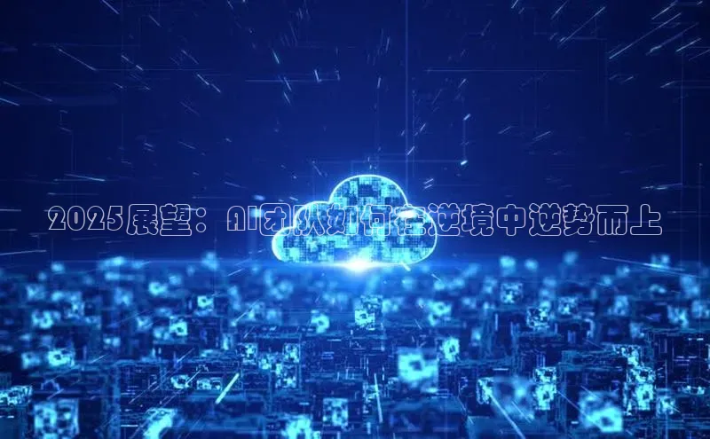2025展望：AI团队如何在逆境中逆势而上